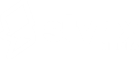 stynx logo